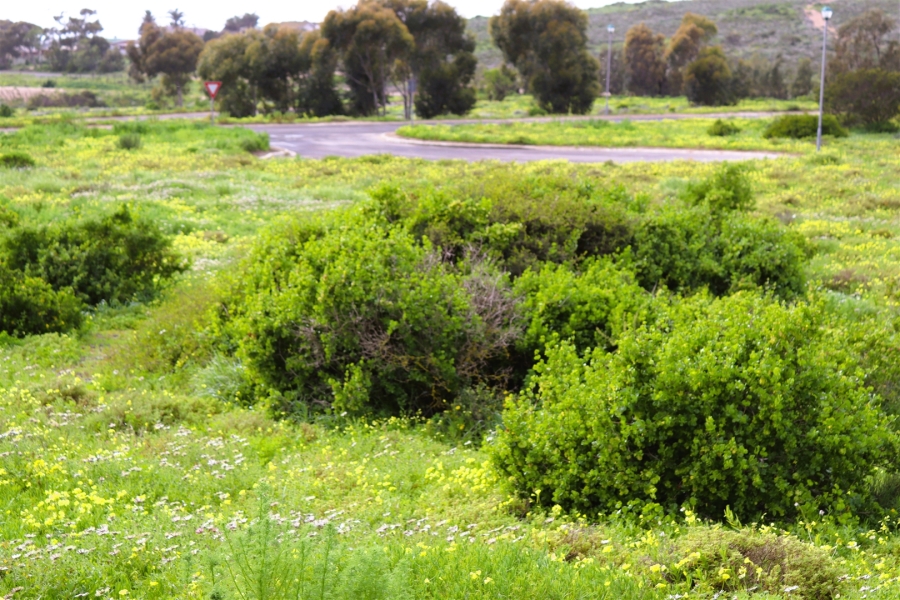 0 Bedroom Property for Sale in St Helena Views Western Cape